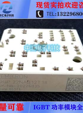 SKiiP22NAB12T18/T45/T46/T17/T18 SKiiP22NAB12T45/T46/T17/T18