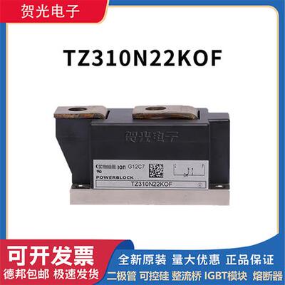 全新 TZ310N22KOF 可控硅晶闸管 功率整流桥模块TZ310N26KOF