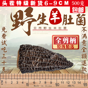 2023年全剪柄羊肚菌6-9cm干货 云南新鲜特级野生羊肚菌菇煲汤500g