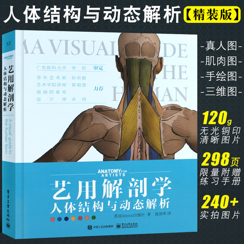 艺用解剖学人体结构与动态解析