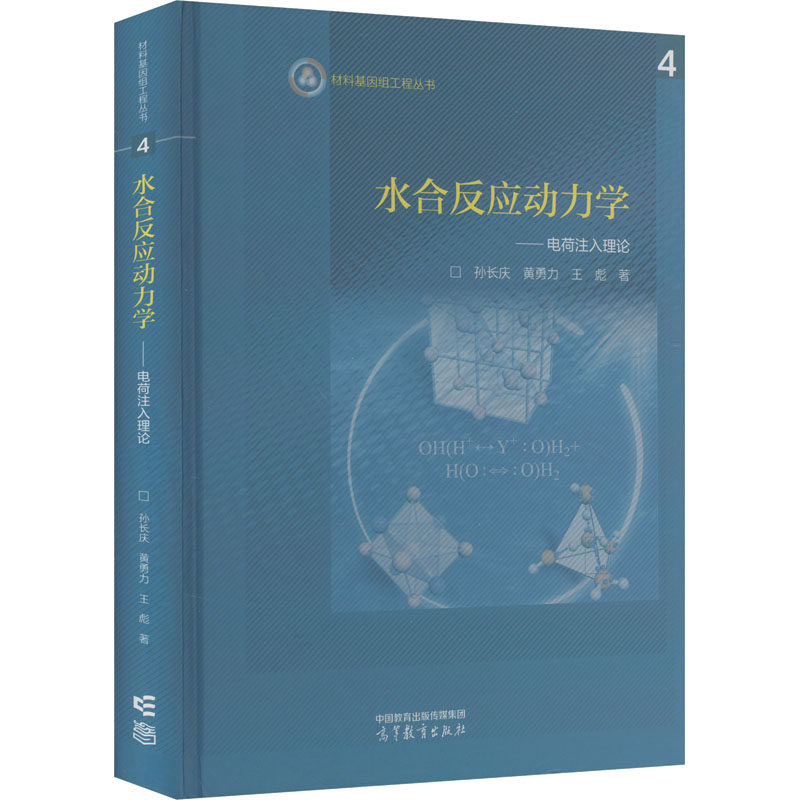 水合反应动力学——电荷注入理论 高等教育出版社 孙长庆,黄勇力,王彪 著 文轩书籍