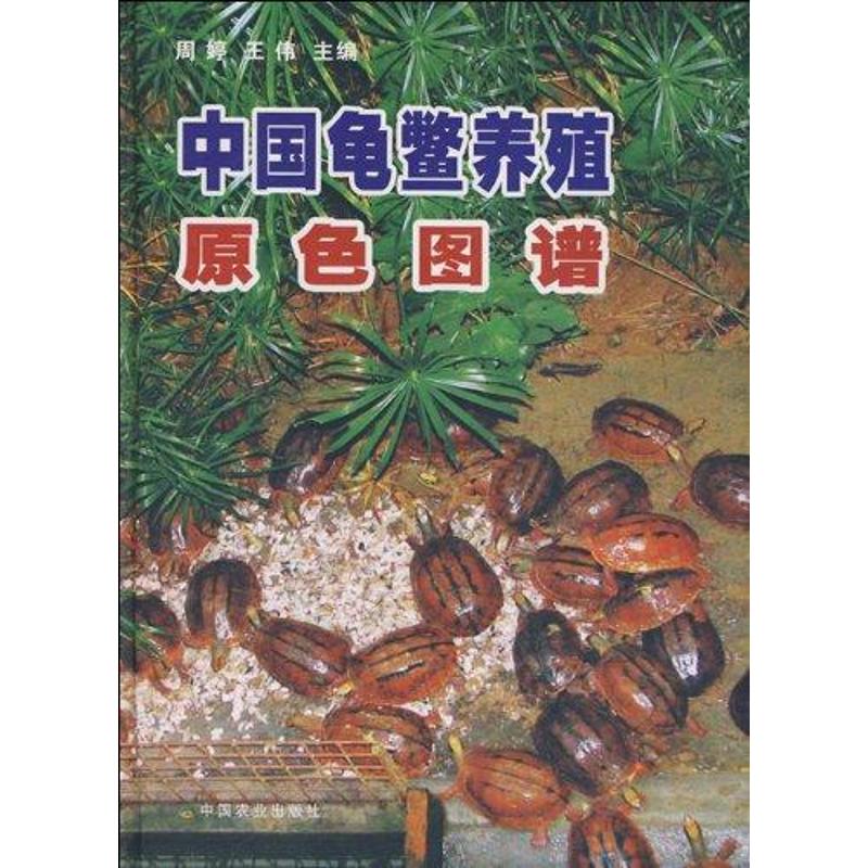 中国龟鳖养殖原色图谱 中国农业出版社 周婷 著 文轩书籍