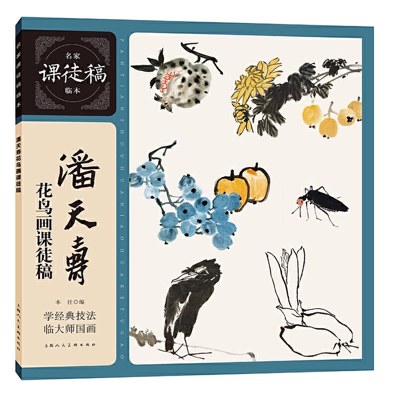 正版潘天寿花鸟画课徒稿 名家临本 上海人民美术出版社 中国水墨花鸟花卉蔬果鸟虫国画画法构图教学临摹鉴赏国画技法教材教程书