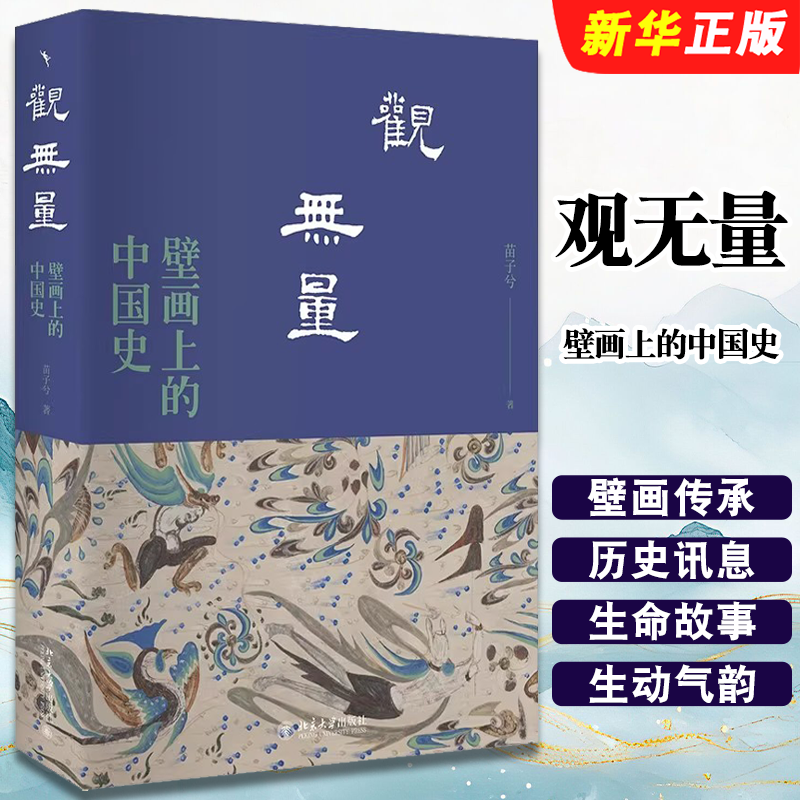正版观无量 壁画上的中国史 苗子兮著 北京大学出版社 一部由壁画传承的纪传体中国史 读懂壁画深处的中国历史书籍
