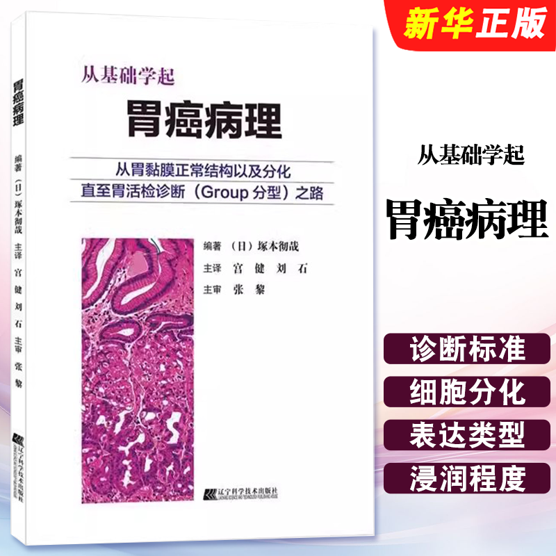 正版从基础学起 胃癌病理 辽宁科学技术出版社 内科学 宫健 刘石 主译 胃的解剖 胃黏膜的正常结构和细胞分化 医学教材教程书籍