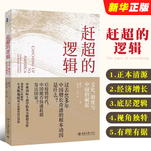 从文化角度揭示赶超 文化 社 中国增长之谜 制度与中国 逻辑 崛起 北京大学出版 正版 底层逻辑书 预判中国经济未来增长前景 赶超