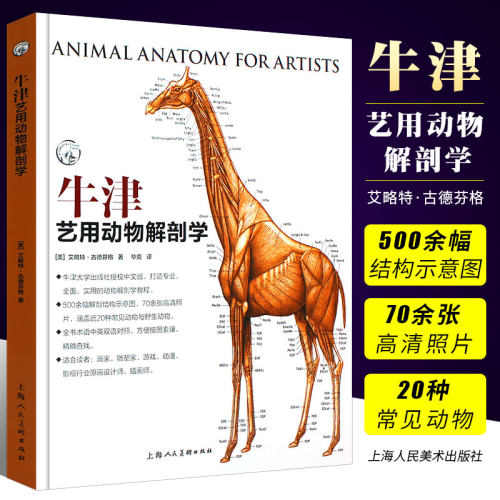 正版见动物解剖结构示意图