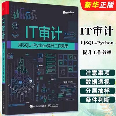 正版IT审计 用SQL+Python提升工作效率 涂佳兵 著 数据库 专业科技 电子工业出版社 零基础学习编程入门基础教材教程书