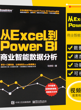 正版从Excel到Power BI 商业智能数据分析 PowerBI入门书 Power BI操作教程 Power Query数据查询工具 电子工业 excel数据分析教程