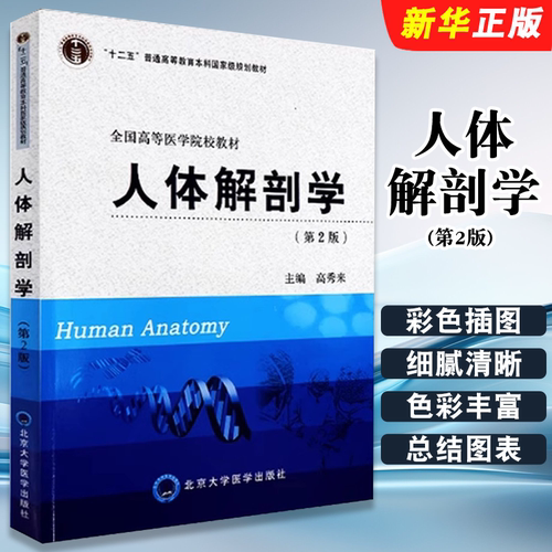 正版人体解剖学 第2版 高秀来 北京大学医学出版社 普通高等教育十二五规划教材全国高等医学院校教材教程书