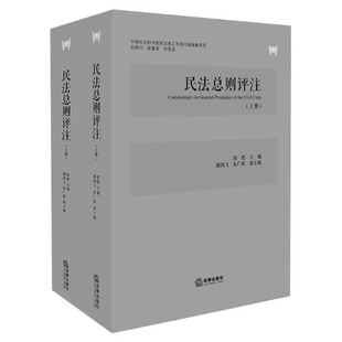 正版全2册 民法总则评注 陈甦 法律出版社 民法理论研究法学学术著作 民法体系 民法实践 民法总则制定民法总则阐释评注