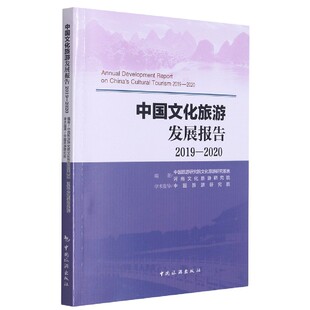 2020 2019 中国文化旅游发展报告
