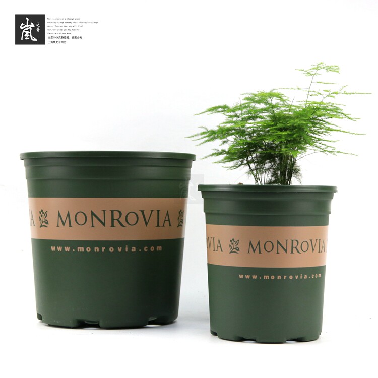 环球加仑盆 月季 铁线莲 欧月花盆