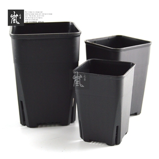 A型侧开孔 新方万象盆 日式万象盆 侧面开孔 透气性好