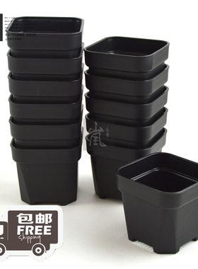 套餐丨【12个装】中号升级版厚黑浅方盆 多肉植物种植盆