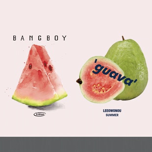 潮牌卡通可爱西瓜番石榴新款图案热转印耐水洗胶印白墨烫画定制