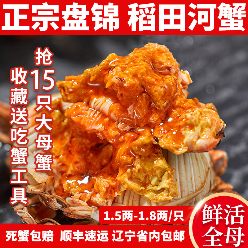 盘锦河蟹15只全母稻田河蟹礼盒