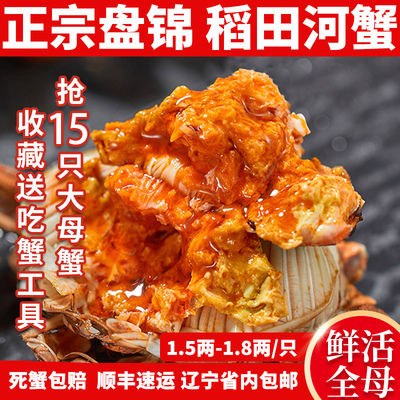盘锦河蟹15只全母稻田河蟹礼盒