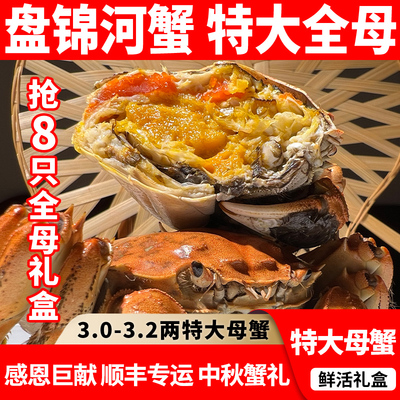 盘锦河蟹8只特大母蟹礼盒