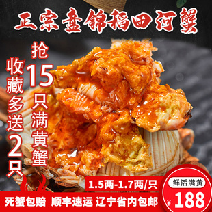 盘锦河蟹稻田河蟹六月黄公母15只1.5-1.7两鲜活螃蟹活蟹辽宁包邮