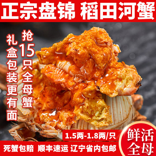 盘锦河蟹15只全母稻田河蟹礼盒
