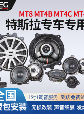 STEG史泰格特斯拉专车专用喇叭车载扬声器汽车音响改装包安装