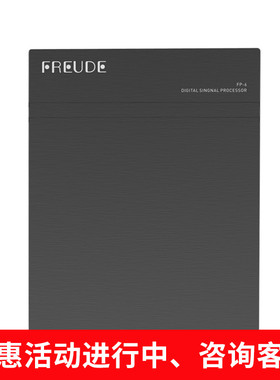 德国弗莱德DSP音频处理器31段车载汽车功放无损音响改装FP-6A
