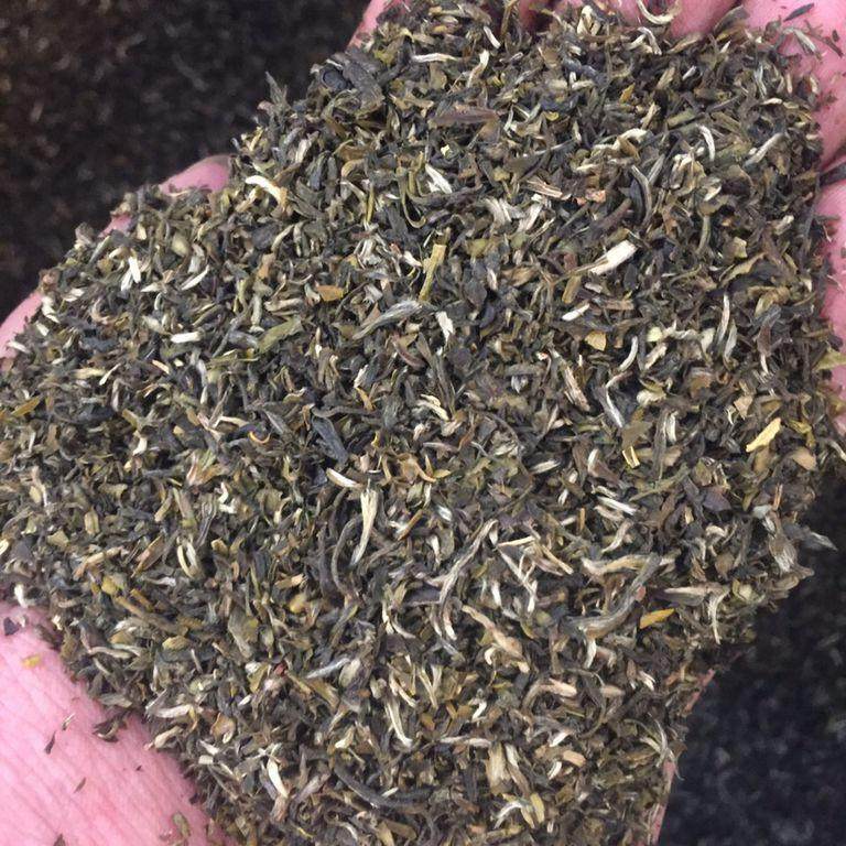 新茶【传统高碎】榕莉福州青口茶厂 福州茉莉花茶 茶碎 500g 25年