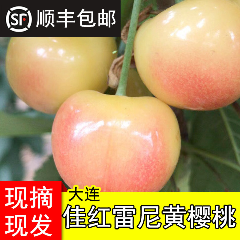 大连雷尼佳红黄金樱桃金车厘子