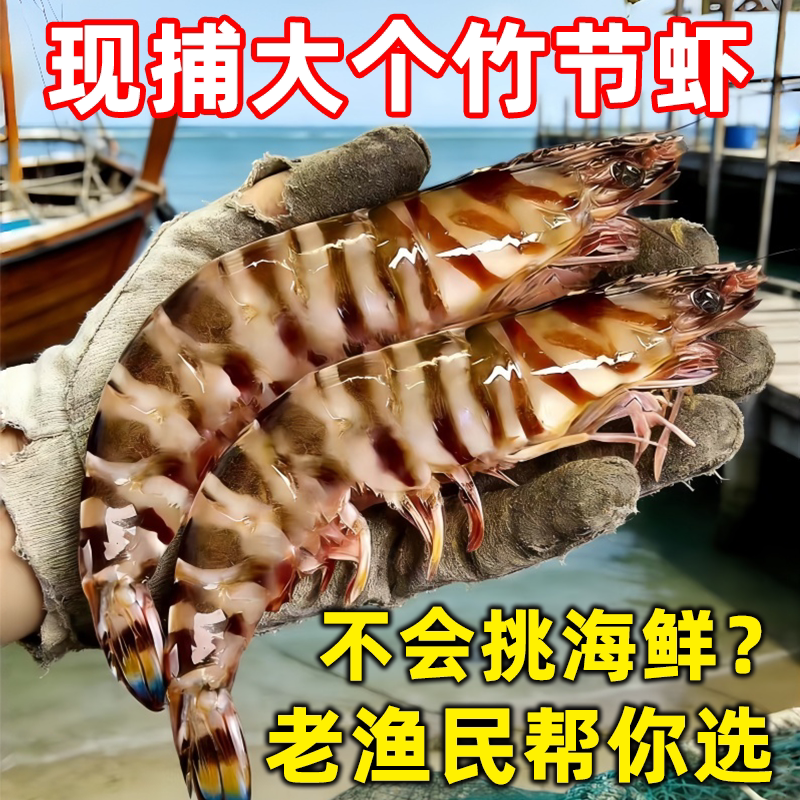 野生海捕竹节虾斑节虾鲜活冷冻