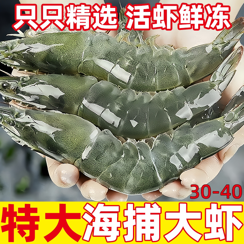 青岛大虾鲜活新鲜水冻海虾水产