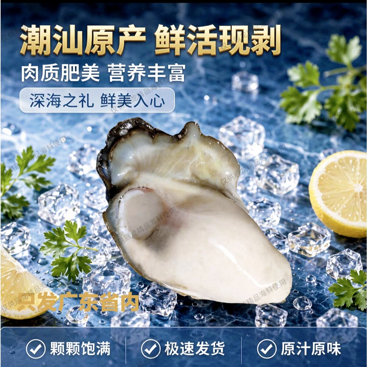 生蚝肉辰龙精品海鲜营养鲜活现剥