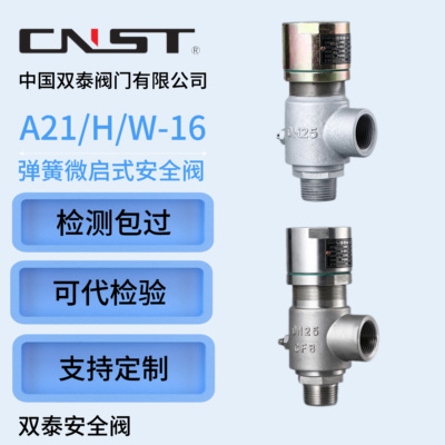 双泰安全阀弹簧式安全阀A21H-16C