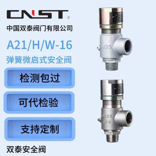 双泰安全阀弹簧式安全阀A21H-16C