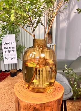 『落地大花瓶』小口大肚玻璃花瓶大容量高通透美男树雪柳各种鲜切