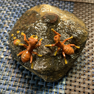 河北宣化战国红玛瑙奇石摆件蚂蚁收藏精工雕刻一物一图南山