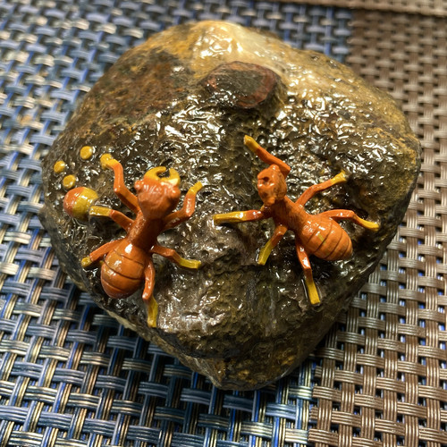 河北宣化战国红玛瑙奇石摆件蚂蚁收藏精工雕刻一物一图南山