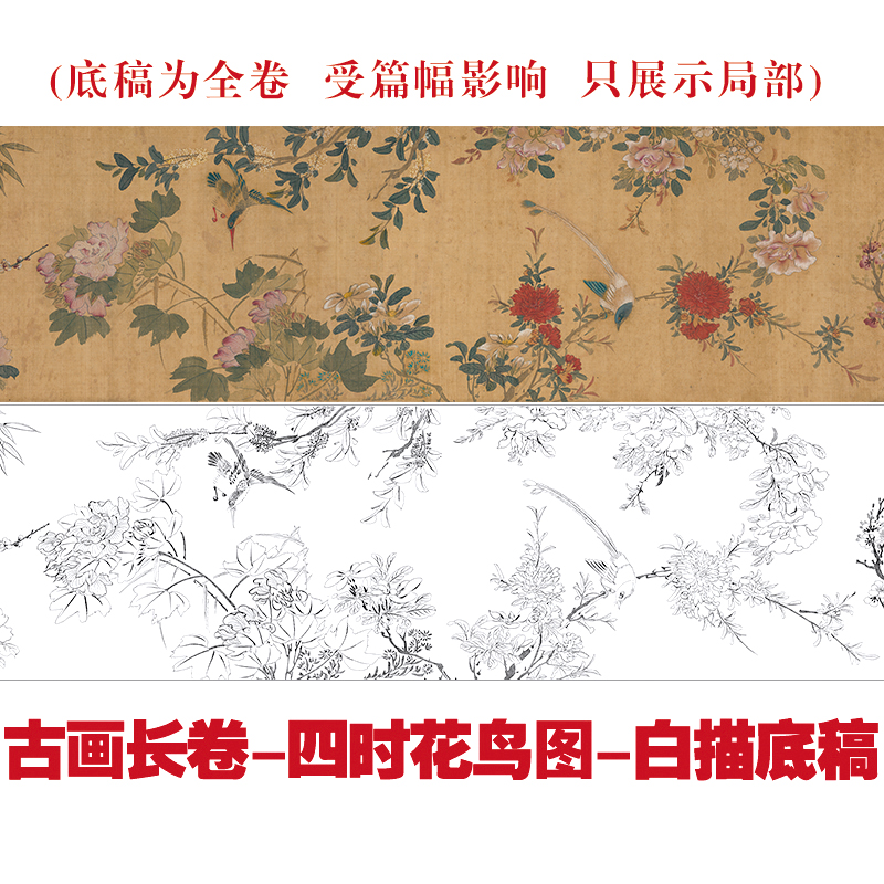 CQ24工笔画白描打印底稿古画长卷四时花鸟图白描底稿临摹线描实物