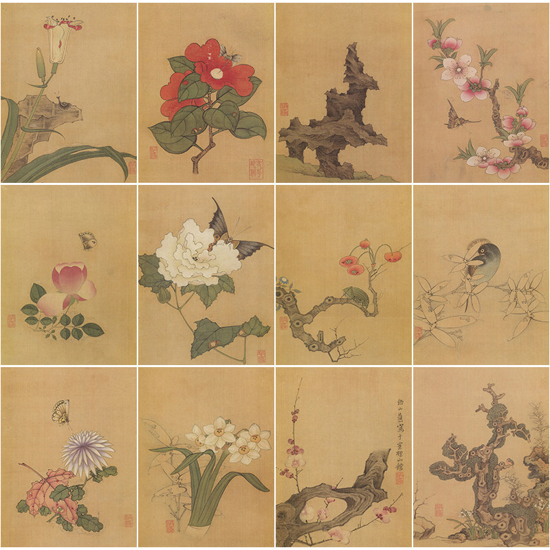 陈洪绶工笔画花鸟白描底稿12张初学者国画花鸟小品临摹线描打印稿