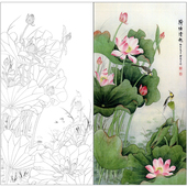 TP382工笔画荷花白描底稿国画花鸟临摹练习线描画稿实物打印稿
