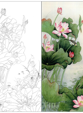 tp382工笔画荷花白描临摹练习