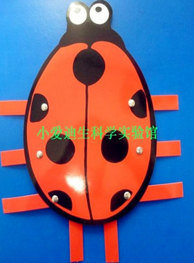 小学科技小制作儿童益智玩具幼儿培训班科学实验器材材料昆虫运动