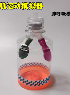 科学实验套装包肺呼吸教具模型膈肌运动模拟器生物作业科技小制作