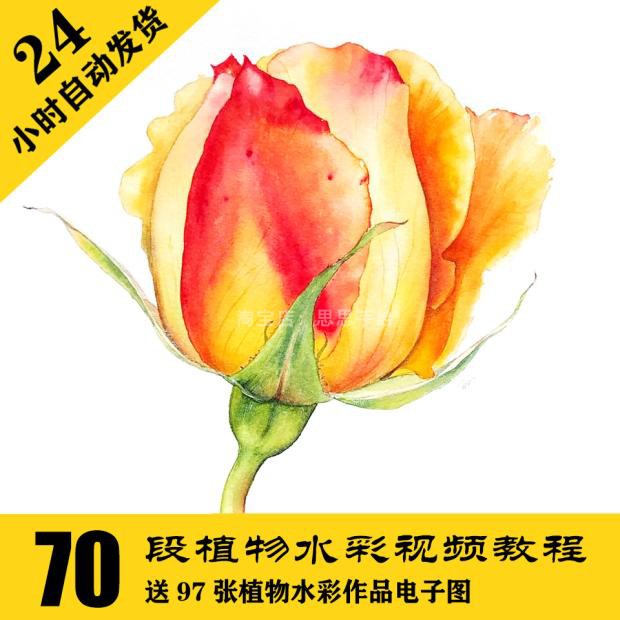 W026 花卉水彩零基础视频资料7...