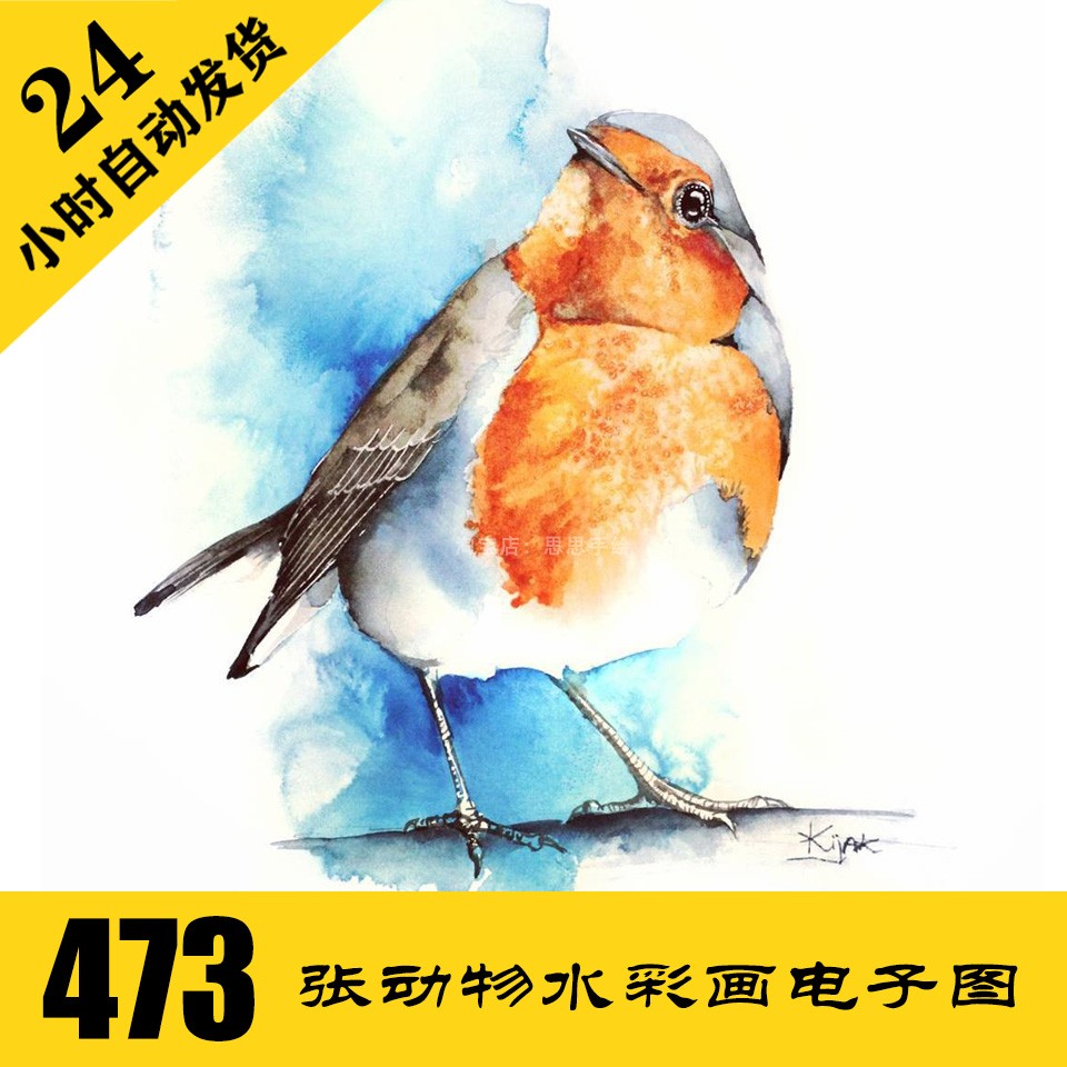 W060 鸟类水彩画 动物手绘电子图473张 送短视频 临摹素材持续更
