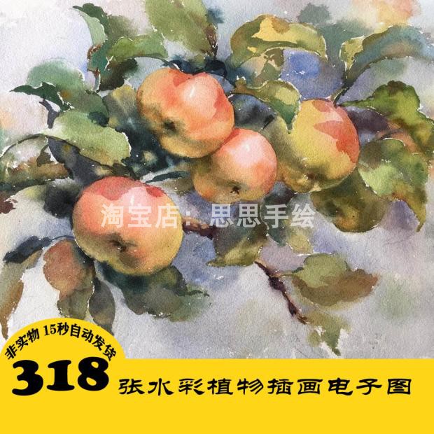 W094 水彩花卉植物风景作品电子图318张 手绘临摹 24小时自动发货