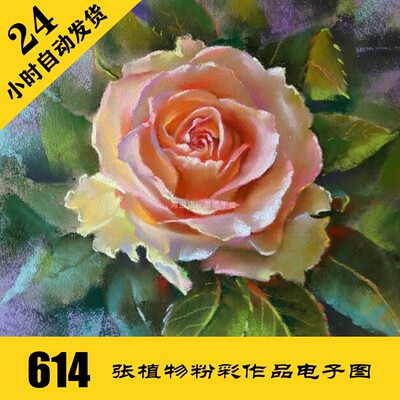 S018 花卉粉彩画 电子图614张 粉彩彩铅手绘临摹素材 持续更