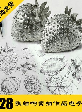 S050 结构素描电子图628张 人物动物静物素描 临摹素材 持续更新