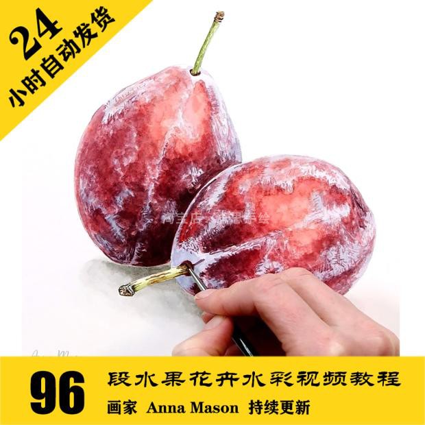 W028 水果花卉水彩视频中文字幕课程96段 送346张电子图 自动发货