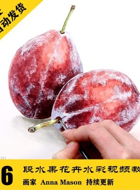 W028 水果花卉水彩视频中文字幕课程96段 送346张电子图 自动发货